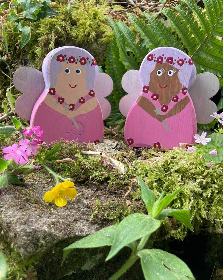 Flora & Fleur The Flower Fairies