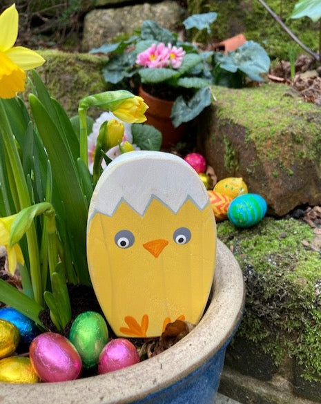 Chunky - Chesney and Chelsea the Easter Chicks