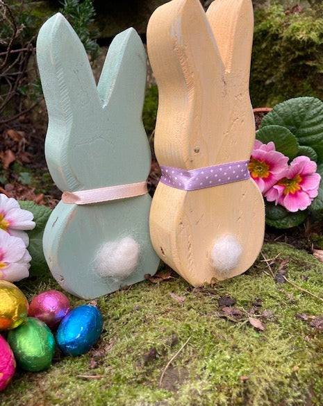 Chunky Babs The Bunny