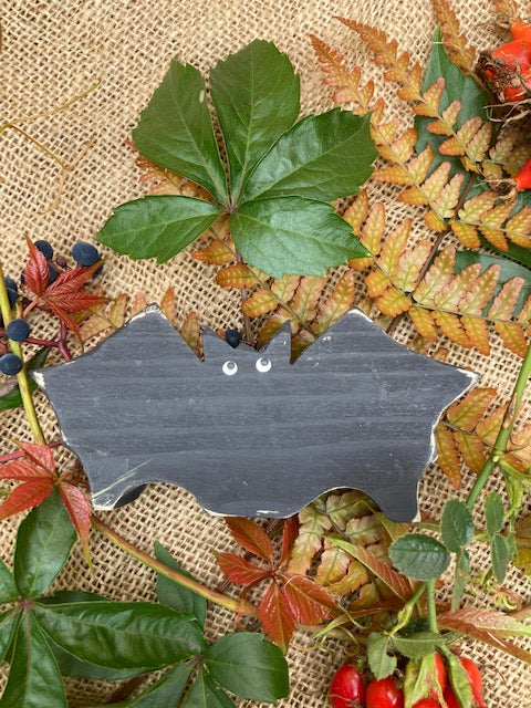 Chunky Barry the Bat