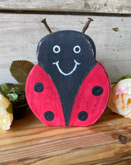 Chunky Dot the Ladybird